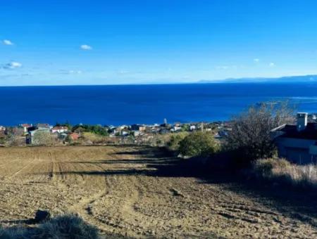 Tekirdağ Barbarosta Acil Satılık 42 Dairelik Kooparetif Site Yapımına Uygun Full Deniz Manzaralı Konut İmarlı Arazi