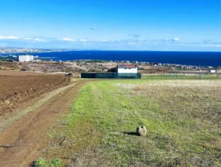 Tekirdağ Barbarosta Acil Satılık 15.000 M2 Villa İmarlı Arazi