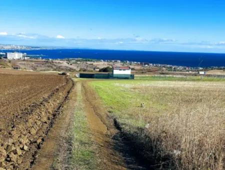 Tekirdağ Barbarosta Acil Satılık 15.000 M2 Villa İmarlı Arazi