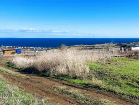 Tekirdağ Barbarosta Acil Satılık 15.000 M2 Villa İmarlı Arazi