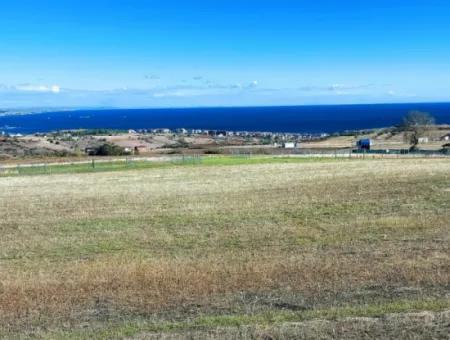 Tekirdağ Barbarosta Acil Satılık 15.000 M2 Villa İmarlı Arazi