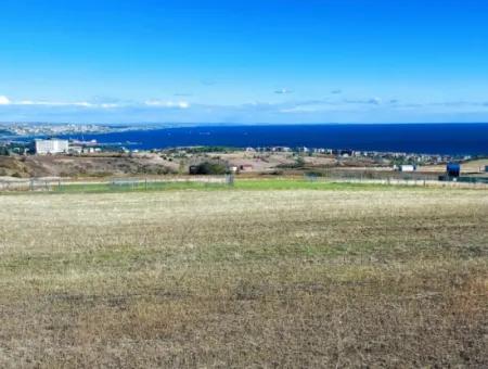 Tekirdağ Barbarosta Acil Satılık 15.000 M2 Villa İmarlı Arazi