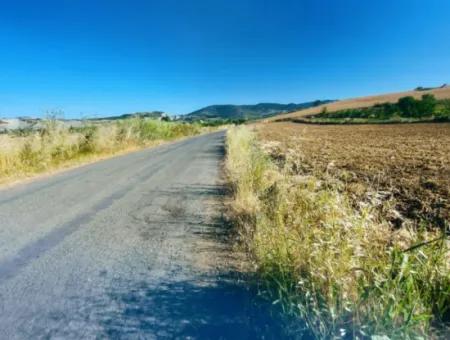 Tekirdağ Naip Mahallesinde Acil Satılık Anayol Cepheli Tıny House Kurmak İçin Harika Fırsat Tarla