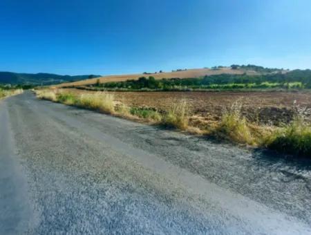 Tekirdağ Naip Mahallesinde Acil Satılık Anayol Cepheli Tıny House Kurmak İçin Harika Fırsat Tarla