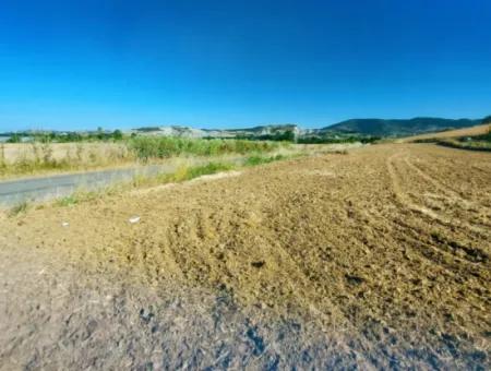 Tekirdağ Naip Mahallesinde Acil Satılık Anayol Cepheli Tıny House Koymaya Uygun Kupon Tarla