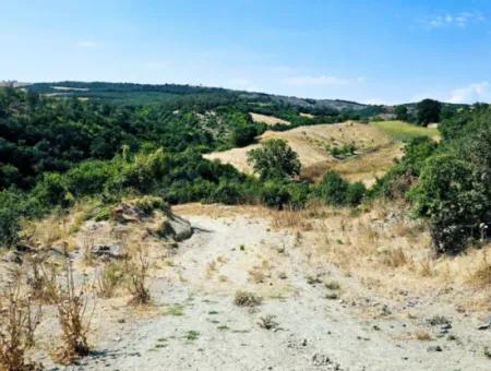 Tekirdağ Çanakçı Mahallesinde Kazançlı Yatırım Yapmak İsteyenler İçin Acil Satılık Kelepir Kopon Tarla