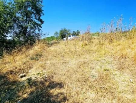 Tekirdağ Çanakçı Mahallesinde Acil Satılık Doğa Meraklılarına Tıny House Koymaya Uygun Anayol Cepheli Kupon Tarla