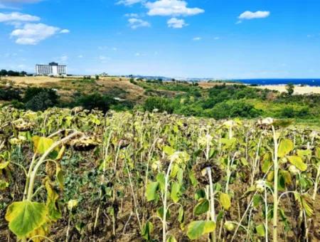 Tekirdağ Barbarosta Takas + Nakit İhtiyaçtan Acil Satılık Villa İmarlı Kupon Tarla