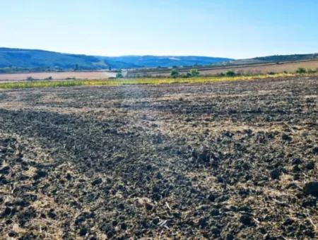 Asyaport Limanı Mevcut İmara Çok Yakın Yatırımlık Yapmak İsteyenler İçin Kaçırılmayacak Fırsat Arazi